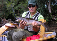 Fario del río Maullín