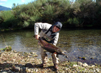 Chinook del río Petrohue