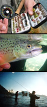 La Vaguada - Fly Fishing, Outdoors & Outfitters