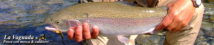 www.lavaguada.cl  - La Vaguada - Flyfishing, Outdoors & Outfitters