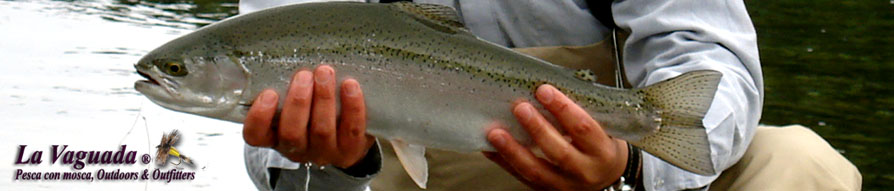 www.lavaguada.cl  - La Vaguada - Flyfishing, Outdoors & Outfitters