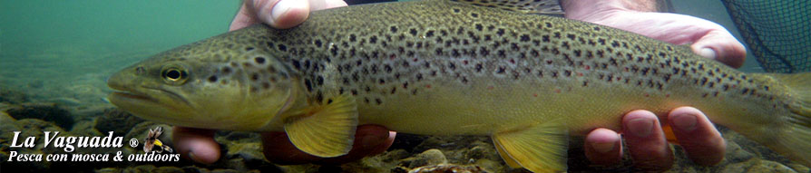 www.lavaguada.cl  - La Vaguada - Fly Fishing, Outdoors & Outfitters