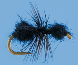Fur Ant