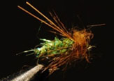 Green Ice Dub Caddis