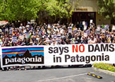 Programa de Donaciones Ambientales de Patagonia repartirá 100 mil dólares