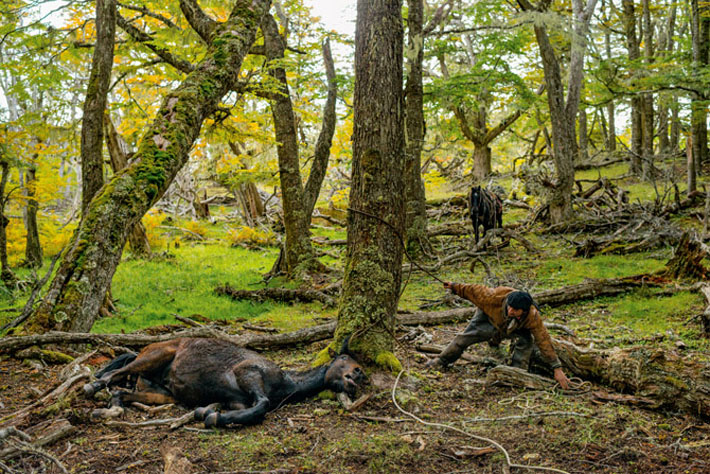 Vaqueros de la Patagonia - Bagualeros, los vaqueros mas rudos del Mundo