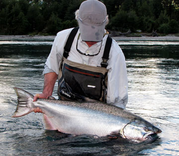 “Pesca de Investigación de Salmón Chinook en el sur de Chile” estaría asociada a iniciativa privada de procesamiento y exportación del recurso.  
