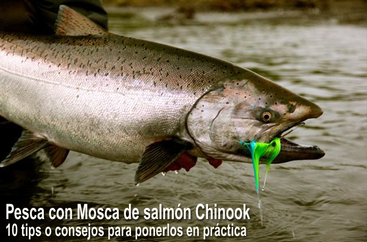 Pesca con mosca de salmon chinook, 10 tips o consejos para ponerlos en practica
