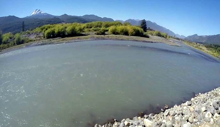 Estudio Biológico de la Población de Salmón Chinook en la Cuenca del Río Toltén - Región de la Araucanía - Chile