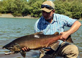 Fin a la temporada de pesca del Salmón Chinook en la Región de La Araucanía