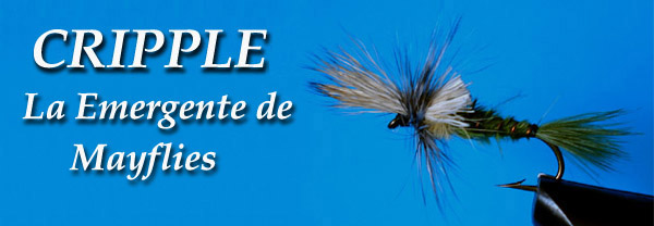 Cripple: La emergente de Mayflies - www.lavaguada.cl