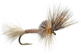 Mayfly Cripple de Umpqua - www.lavaguada.cl