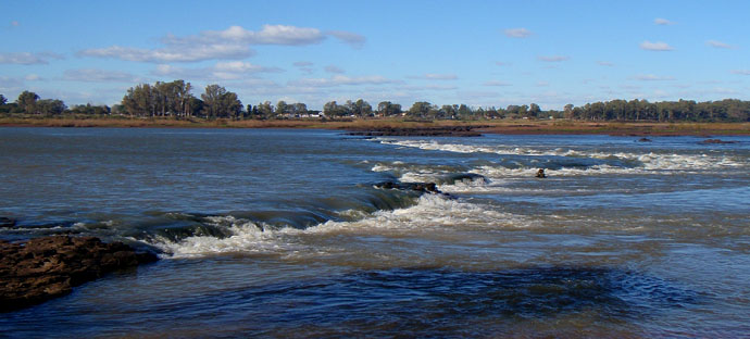 Dorados en Salto Chico, Concordia - Argentina