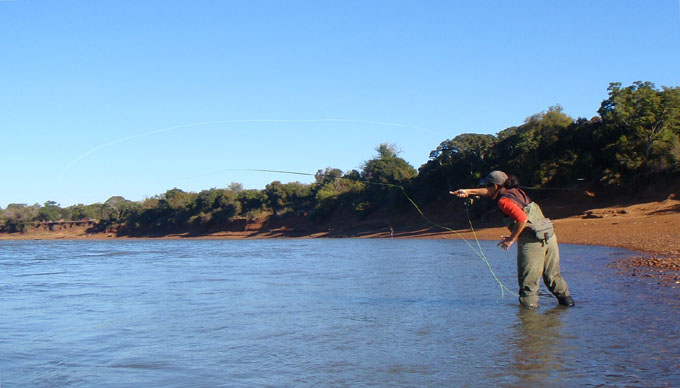 Dorados en Salto Chico, Concordia - Argentina