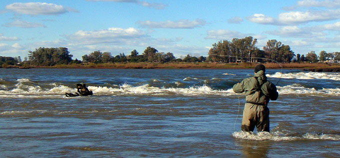 Dorados en Salto Chico, Concordia - Argentina