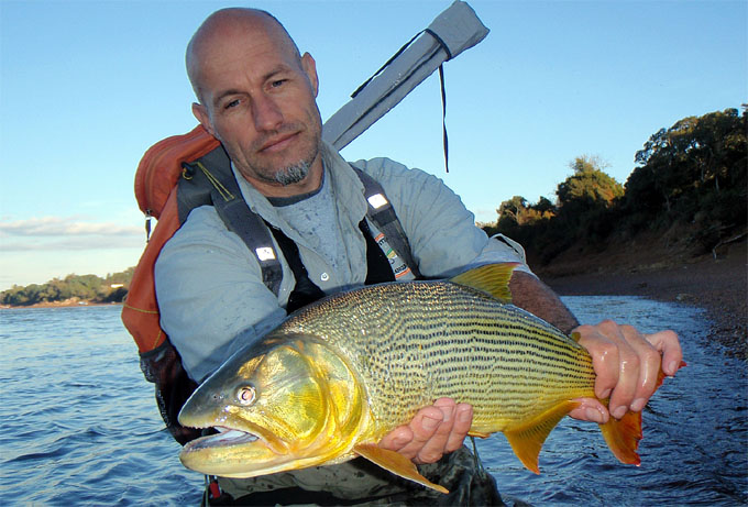 Dorados en Salto Chico, Concordia - Argentina