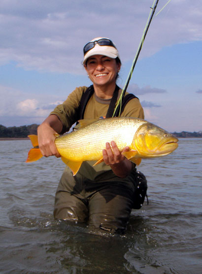 Dorados en Salto Chico, Concordia - Argentina