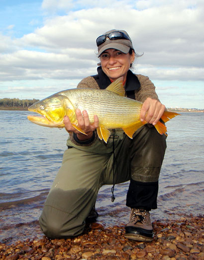 Dorados en Salto Chico, Concordia - Argentina