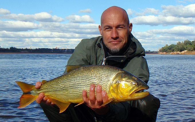 Dorados en Salto Chico, Concordia - Argentina