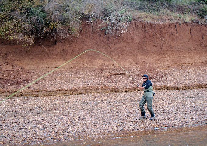 Dorados en Salto Chico, Concordia - Argentina