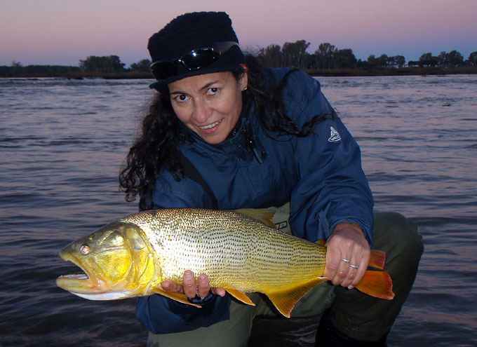 Dorados en Salto Chico, Concordia - Argentina