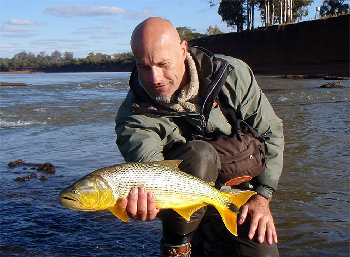 Dorados en Salto Chico, Concordia - Argentina