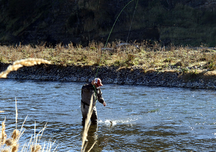 Pescando con Dropper en río