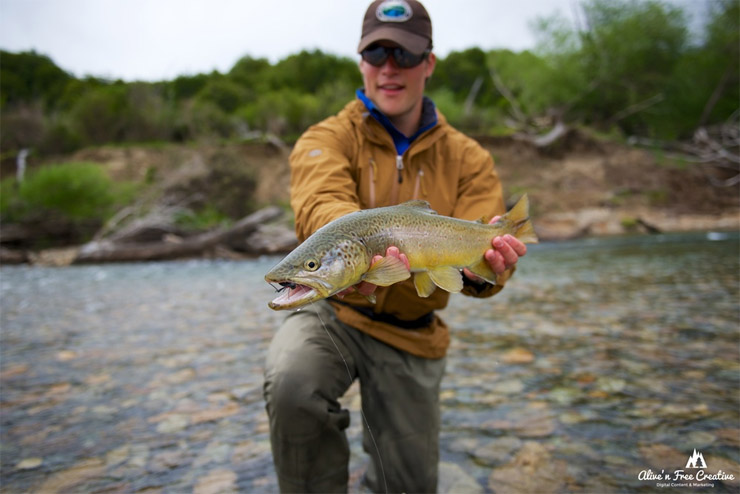 Dry Fly Fishing Patagonia Chile