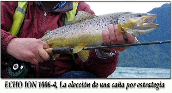 ECHO ION 1006-4, La elección de una caña por estrategia