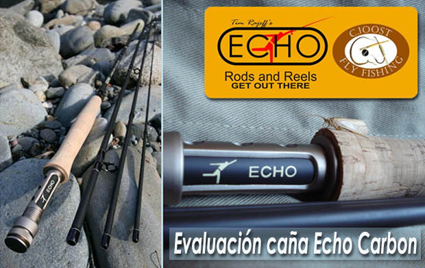 Evaluacin de la caa ECHO CARBON