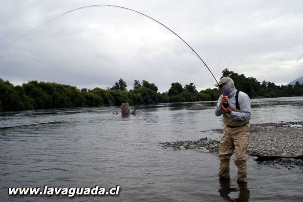 Evaluacin de la caa ECHO CARBON