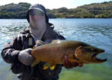 Río Limay, Las claves para una pesca deslumbrante en la Patagonia Argentina.