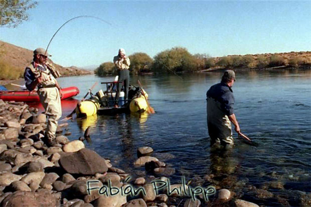 Flotar el Ro Limay