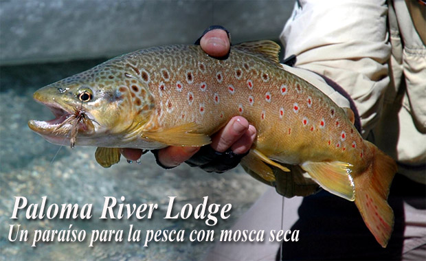 Paloma River Lodge, un paraso para la pesca con mosca seca