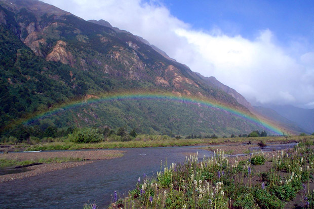 Paloma River Lodge, un paraso para la pesca con mosca seca