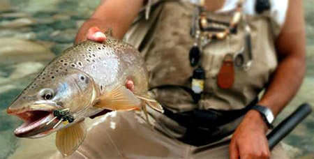 Paloma River Lodge, un paraso para la pesca con mosca seca