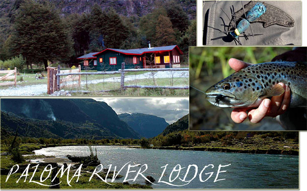 Paloma River Lodge, un paraso para la pesca con mosca seca