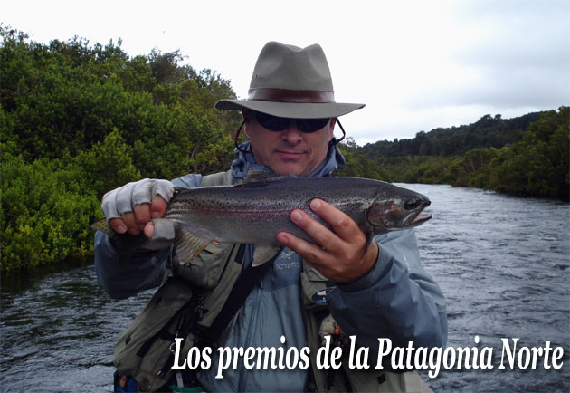 Los Premios de la Patagonia y el río Maullín