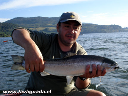 Trucha Arcoiris ro Gol Gol -  Ricardo Ordoez 