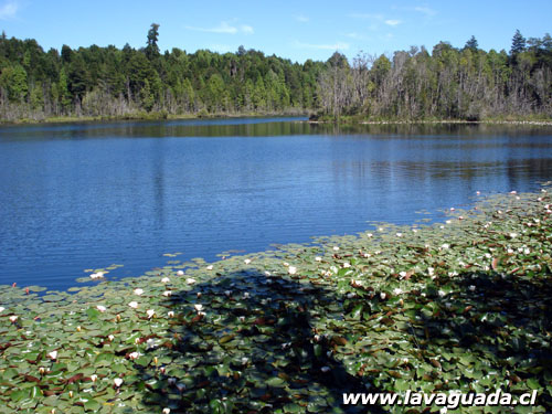 Laguna El Espejo - Ricardo Ordoez 