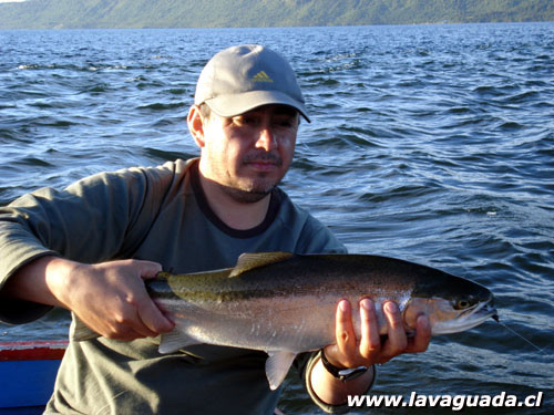 Trucha Arcoiris ro Gol Gol -  Ricardo Ordoez 