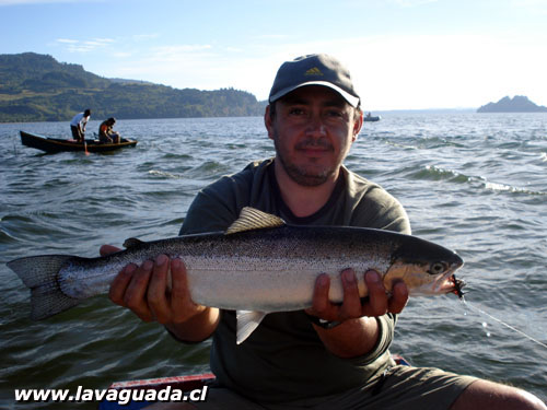 Trucha Arcoiris ro Gol Gol -  Ricardo Ordoez 