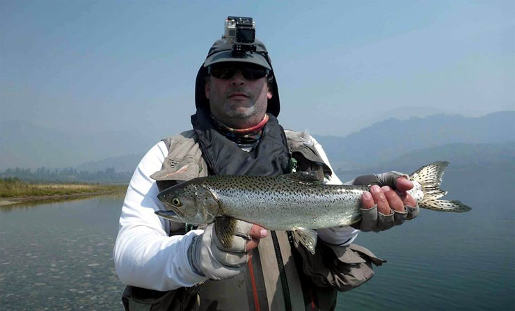 La pesca de Chinook encerrado en La Junta, región de Aysén, una pesca fascinante