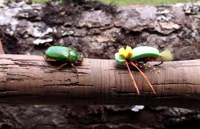 San Juan Beetle, El escarabajo verde para truchas cebadas