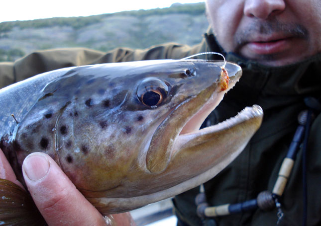 El placebo de la pesca con Scud