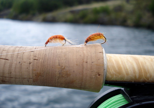 El placebo de la pesca con Scud