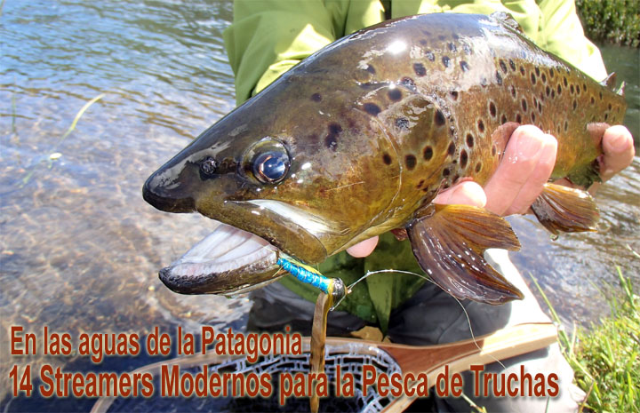 14 Streamers Modernos para la Pesca de Truchas en las aguas de la Patagonia