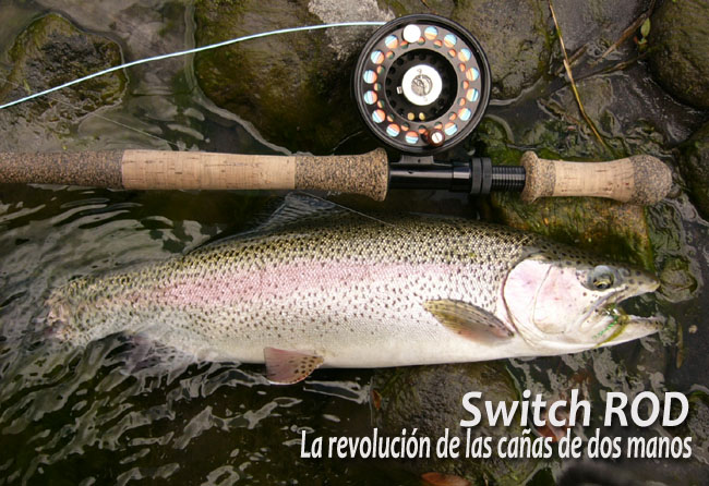Switch ROD, La revolución de las cañas de dos manos