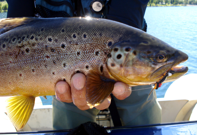 Pesca con Terrestes en las aguas de Aysn - Rodeo Los Palos Lodge