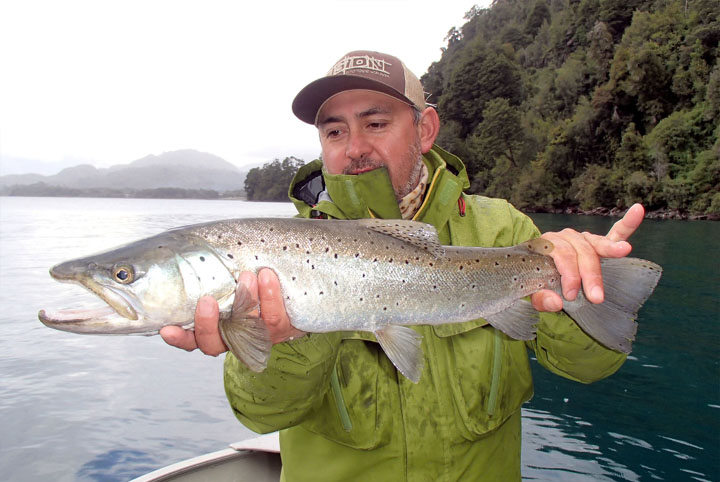 Semana de Brown Trout en Yelcho en la Patagonia 